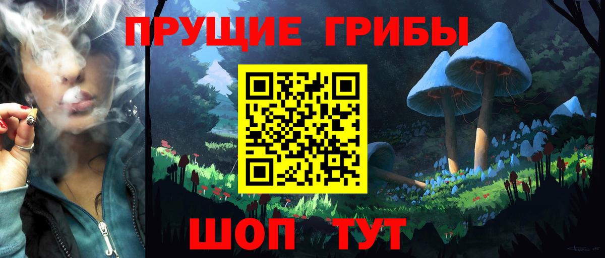 Минусинск  Псилоцибиновые грибы Magic Shrooms  сколько стоит  Вход с VPN 