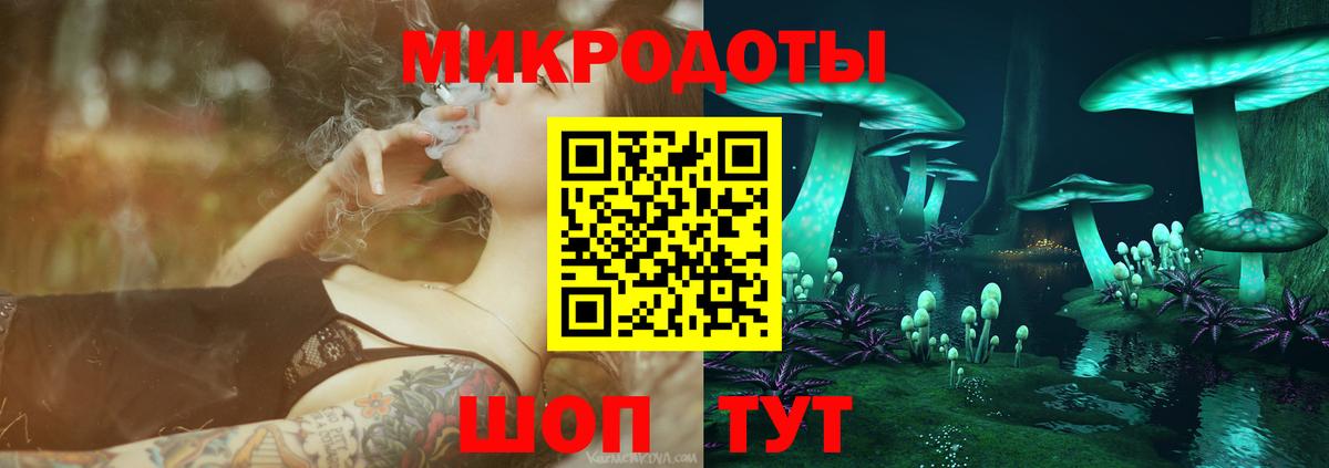 Псилоцибиновые грибы Psilocybe Минусинск